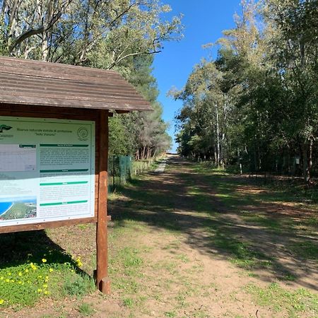 Villaggio Camping Uria Foce Varano Buitenkant foto